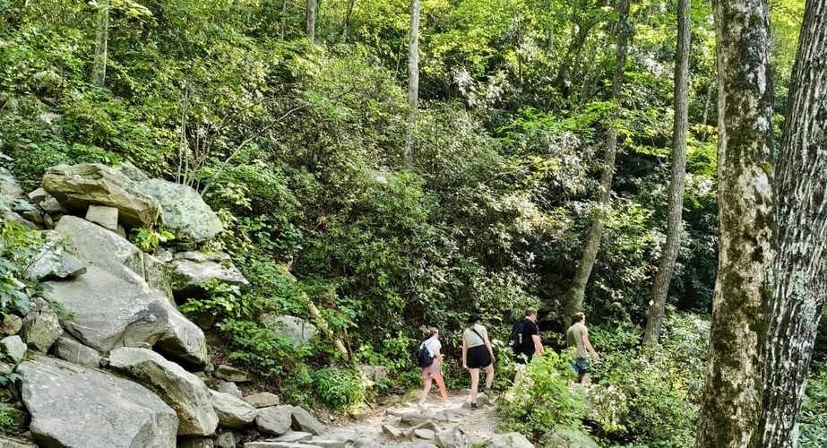 Deep South 102 Deep South 102